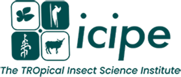 icipe logo